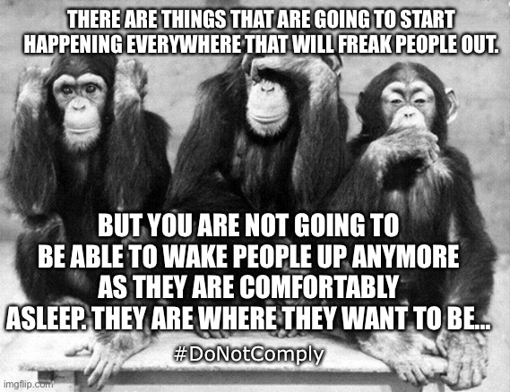 Hear no evil, see no evil, speak no evil | THERE ARE THINGS THAT ARE GOING TO START HAPPENING EVERYWHERE THAT WILL FREAK PEOPLE OUT. BUT YOU ARE NOT GOING TO BE ABLE TO WAKE PEOPLE UP ANYMORE AS THEY ARE COMFORTABLY ASLEEP. THEY ARE WHERE THEY WANT TO BE…; #DoNotComply | image tagged in three wise monkeys,stfu | made w/ Imgflip meme maker