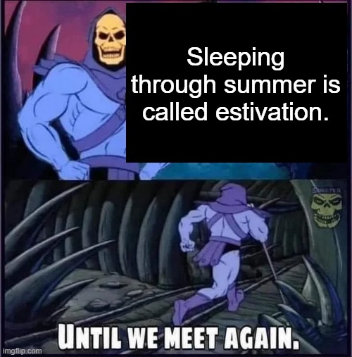 Until we meet again. | Sleeping through summer is called estivation. | image tagged in until we meet again | made w/ Imgflip meme maker