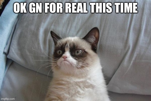 Grumpy Cat Bed | OK GN FOR REAL THIS TIME | image tagged in memes,grumpy cat bed,grumpy cat | made w/ Imgflip meme maker