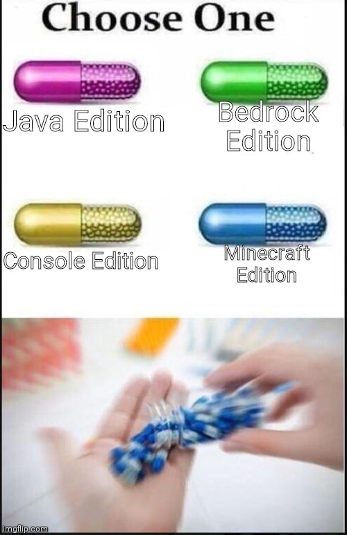 Which one do you choose? | Bedrock Edition; Java Edition; Minecraft Edition; Console Edition | image tagged in minecraft,memes | made w/ Imgflip meme maker