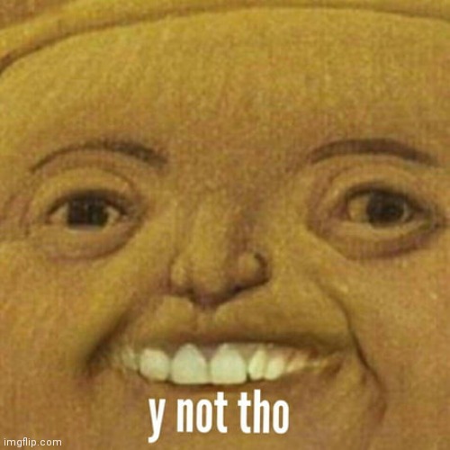 Y not tho | image tagged in y not tho | made w/ Imgflip meme maker