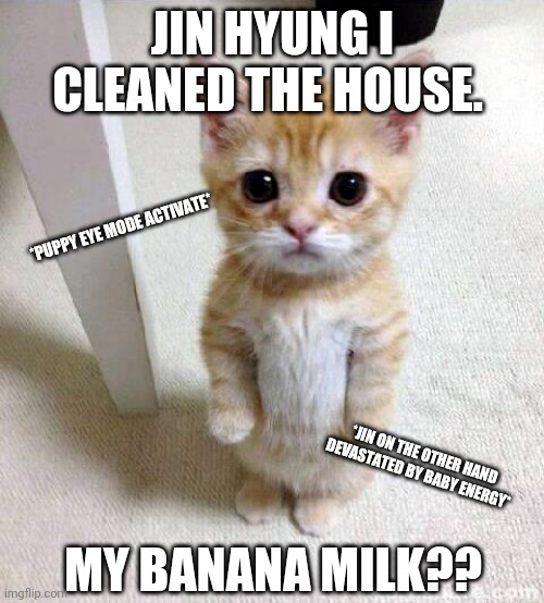 BTS MEMES | JIN HYUNG I CLEANED THE HOUSE. *PUPPY EYE MODE ACTIVATE*; *JIN ON THE OTHER HAND DEVASTATED BY BABY ENERGY*; MY BANANA MILK?? | image tagged in memes,cute cat | made w/ Imgflip meme maker