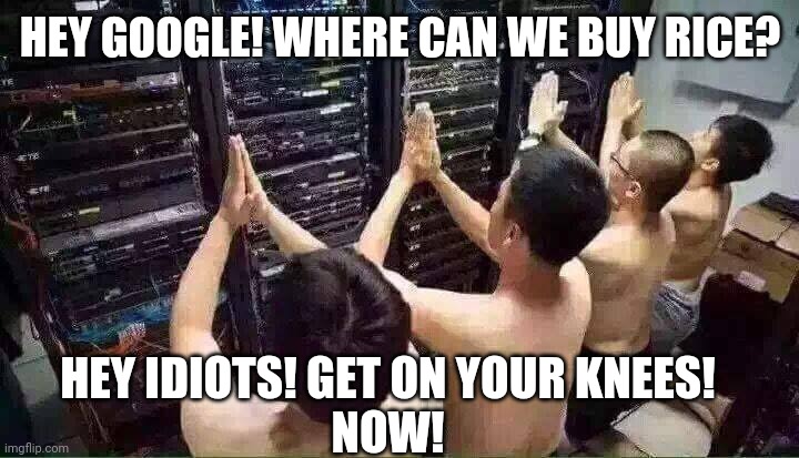 Praying to the server gods | HEY GOOGLE! WHERE CAN WE BUY RICE? HEY IDIOTS! GET ON YOUR KNEES!
NOW! | image tagged in praying to the server gods | made w/ Imgflip meme maker