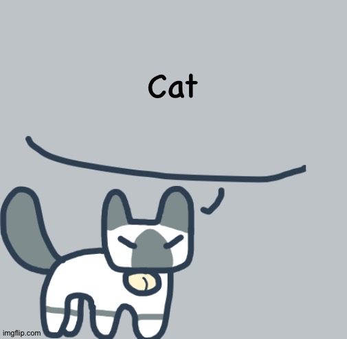 Cat | Cat | image tagged in cat | made w/ Imgflip meme maker