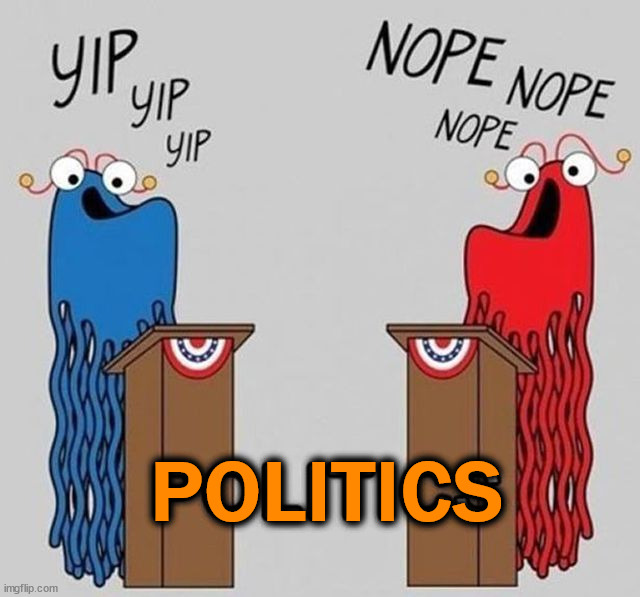 All they do now | POLITICS | image tagged in political meme | made w/ Imgflip meme maker