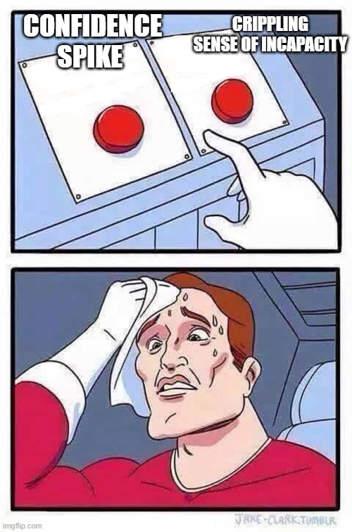 decisions | CRIPPLING SENSE OF INCAPACITY; CONFIDENCE SPIKE | image tagged in decisions,hard choice to make,irony | made w/ Imgflip meme maker