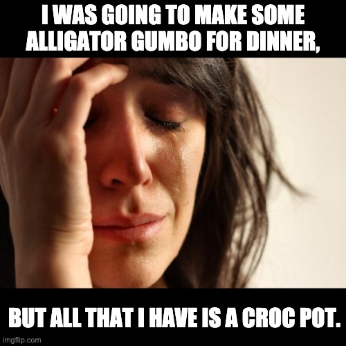 Croc | I WAS GOING TO MAKE SOME ALLIGATOR GUMBO FOR DINNER, BUT ALL THAT I HAVE IS A CROC POT. | image tagged in memes,first world problems | made w/ Imgflip meme maker