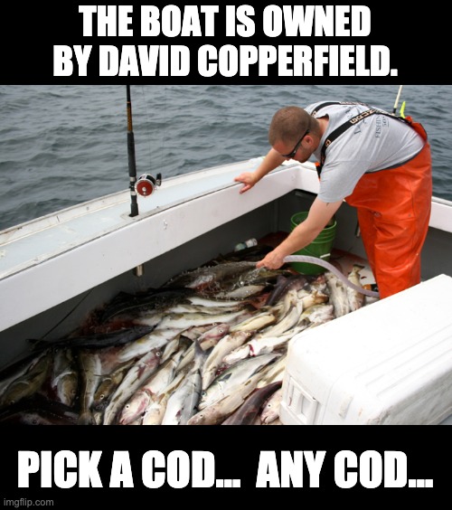 Cod | THE BOAT IS OWNED BY DAVID COPPERFIELD. PICK A COD...  ANY COD... | image tagged in bad pun | made w/ Imgflip meme maker