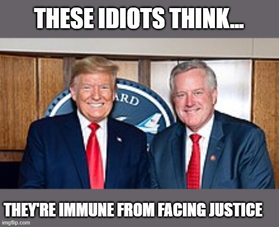 Germany fell prey to a master manipulator like Trump decades ago... | THESE IDIOTS THINK... THEY'RE IMMUNE FROM FACING JUSTICE | image tagged in trump,mark meadows,election 2020,the big lie,gop corruption | made w/ Imgflip meme maker