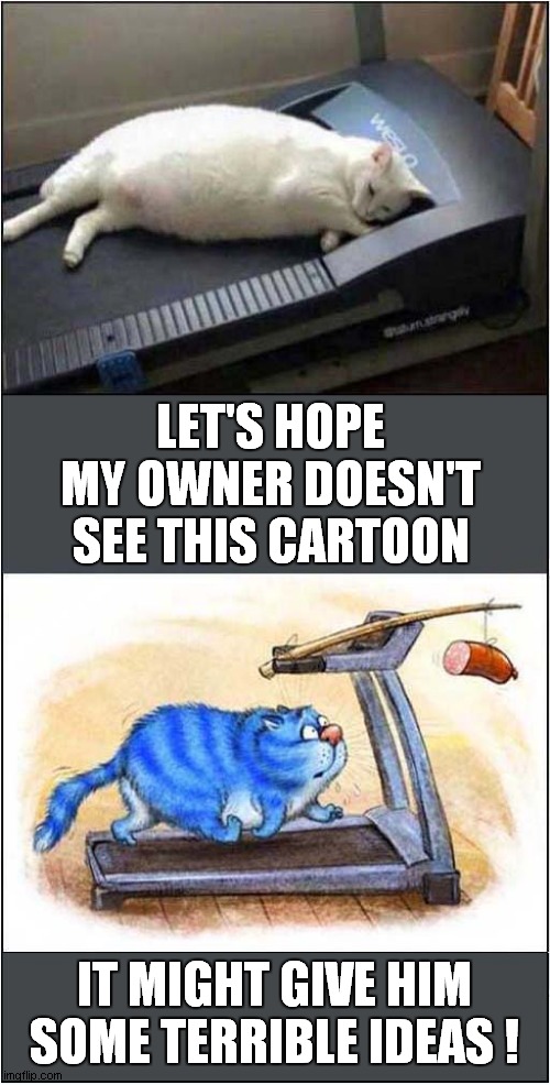 This Fat Cat Has A Nightmare ! | LET'S HOPE MY OWNER DOESN'T SEE THIS CARTOON; IT MIGHT GIVE HIM SOME TERRIBLE IDEAS ! | image tagged in cats,fat cat,fat cats exercise,treadmill,cartoon,nightmare | made w/ Imgflip meme maker