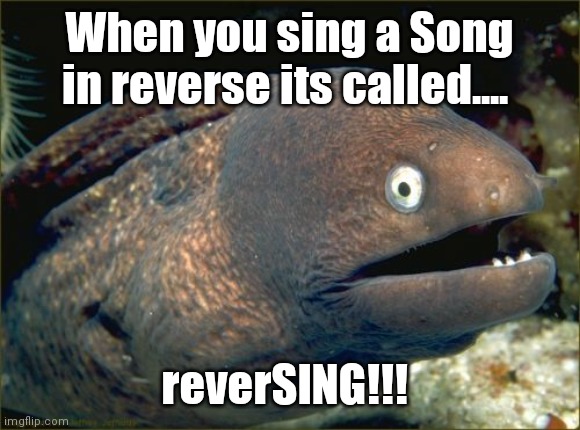 Bad Joke Eel Meme | When you sing a Song in reverse its called.... reverSING!!! | image tagged in memes,bad joke eel | made w/ Imgflip meme maker
