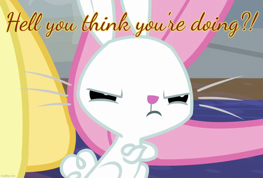 Angel's Glare Look (MLP) | Hell you think you're doing?! | image tagged in angel's glare look mlp | made w/ Imgflip meme maker