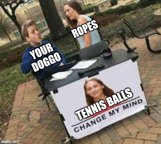 YOUR DOGGO ROPES TENNIS BALLS | made w/ Imgflip meme maker