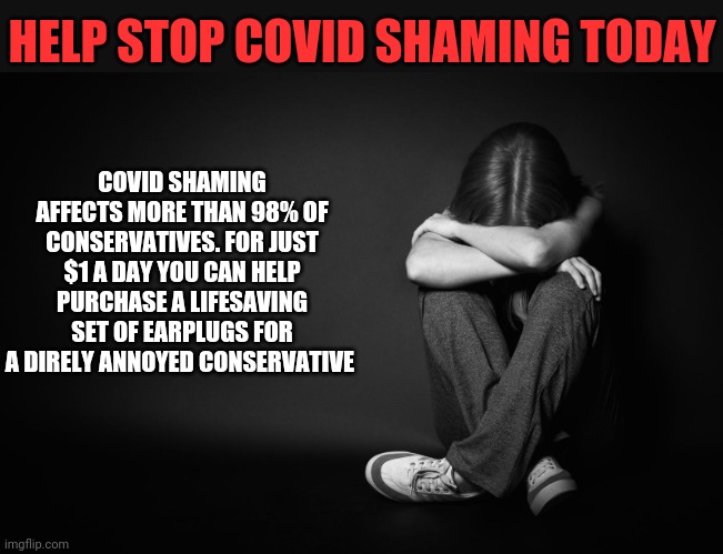 HELP STOP COVID SHAMING TODAY; COVID SHAMING AFFECTS MORE THAN 98% OF CONSERVATIVES. FOR JUST $1 A DAY YOU CAN HELP PURCHASE A LIFESAVING SET OF EARPLUGS FOR A DIRELY ANNOYED CONSERVATIVE | image tagged in funny memes,politics,donald trump | made w/ Imgflip meme maker