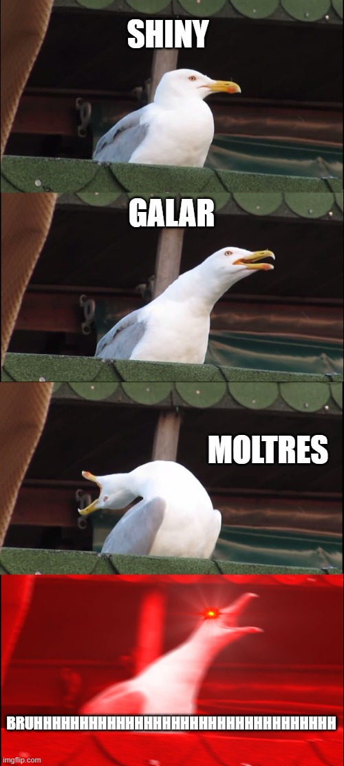 Shiny Galar Moltres BRUHHHHHHHHHHHHHHHHHHHHHHHHHHHHHHHHHHHH - Imgflip