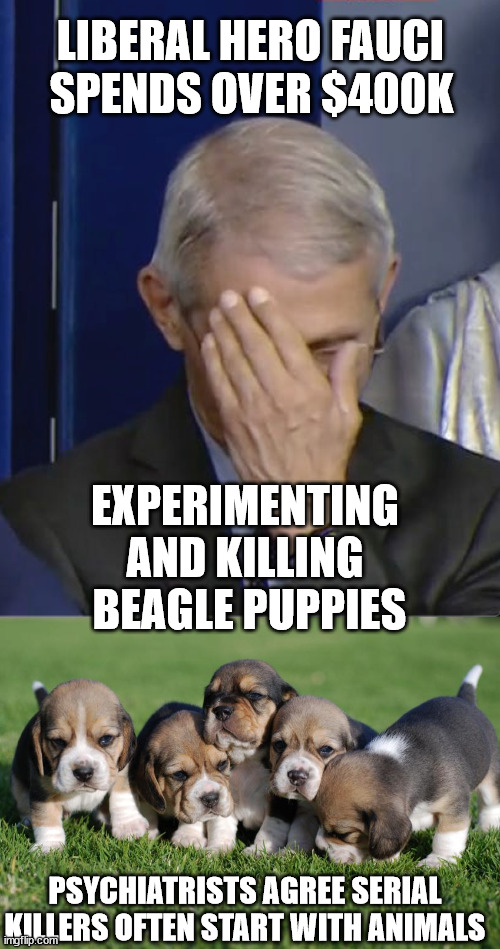 LIberal Hero Kills puppies? now it makes sense | LIBERAL HERO FAUCI; SPENDS OVER $400K; EXPERIMENTING AND KILLING  BEAGLE PUPPIES; PSYCHIATRISTS AGREE SERIAL KILLERS OFTEN START WITH ANIMALS | image tagged in dr fauci | made w/ Imgflip meme maker