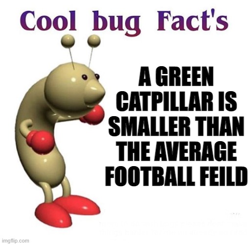 Really interesting fact | A GREEN CATPILLAR IS SMALLER THAN THE AVERAGE FOOTBALL FEILD | image tagged in cool bug facts | made w/ Imgflip meme maker