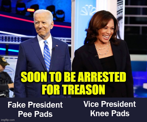 GITMO Bound | SOON TO BE ARRESTED
FOR TREASON; Vice President
Knee Pads; Fake President
Pee Pads | image tagged in biden harris,qanon,trump 2020 | made w/ Imgflip meme maker