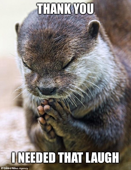 Thank you Lord Otter | THANK YOU I NEEDED THAT LAUGH | image tagged in thank you lord otter | made w/ Imgflip meme maker