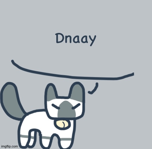 Cat | Dnaay; I want to ramble or vent to someone. | image tagged in cat | made w/ Imgflip meme maker
