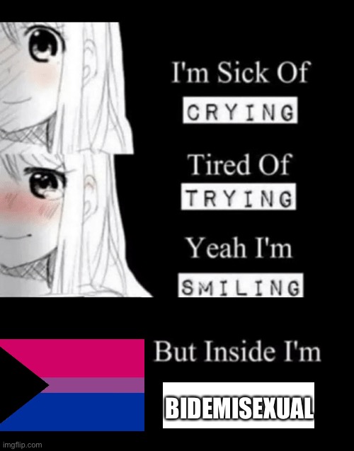 im sick of crying bla | BIDEMISEXUAL | image tagged in im sick of crying bla | made w/ Imgflip meme maker