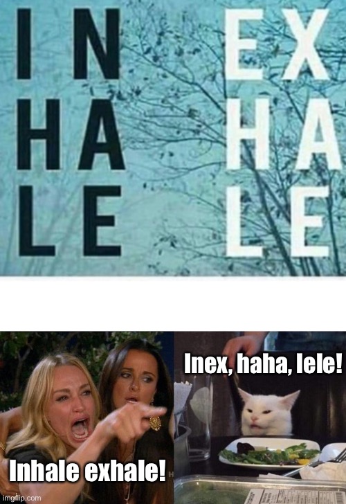 Inex Haha lele | Inex, haha, lele! Inhale exhale! | image tagged in memes,woman yelling at cat | made w/ Imgflip meme maker