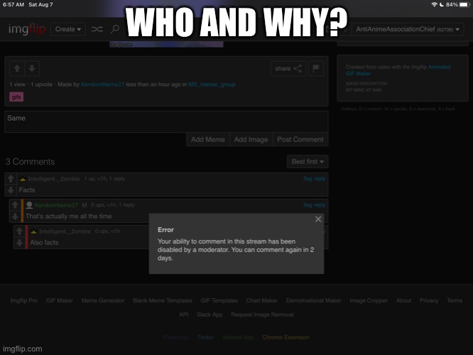 WHO AND WHY? | image tagged in why | made w/ Imgflip meme maker