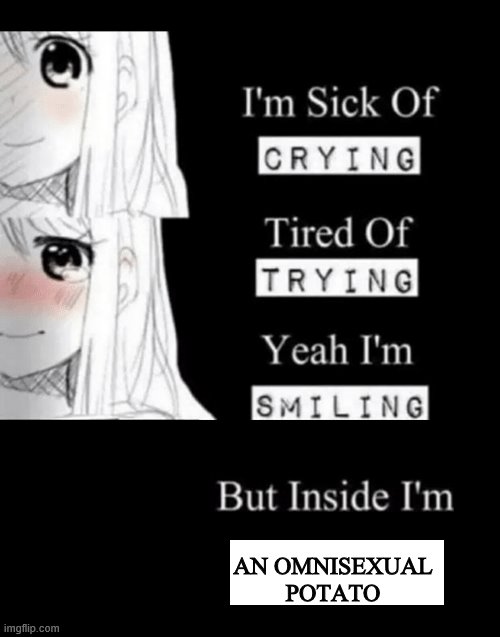 im sick of crying bla | AN OMNISEXUAL POTATO | image tagged in im sick of crying bla | made w/ Imgflip meme maker