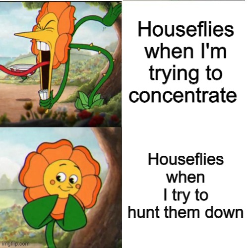Scumbag houseflies... | Houseflies when I'm trying to concentrate; Houseflies when I try to hunt them down | image tagged in cuphead flower,flies,buzzing,memes,barney will eat all of your delectable biscuits,stupid | made w/ Imgflip meme maker