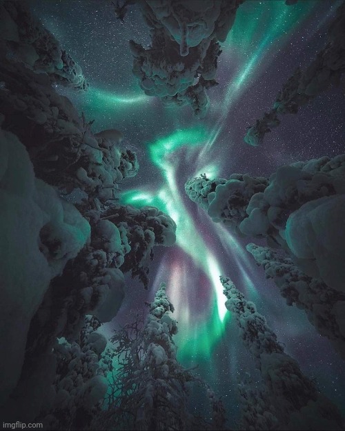 Under the Aurora | image tagged in aurora,sky,beautiful nature,awesome pic | made w/ Imgflip meme maker