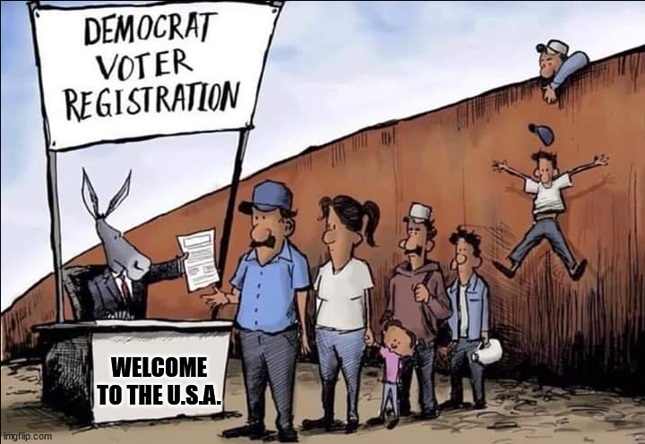 WELCOME TO THE U.S.A. | image tagged in welcome to usa vote democrat | made w/ Imgflip meme maker