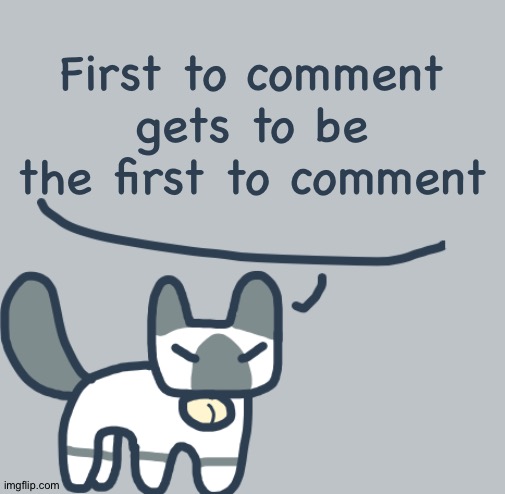 Cat | First to comment gets to be the first to comment | image tagged in cat | made w/ Imgflip meme maker