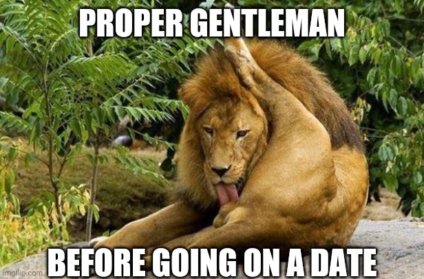 date time | PROPER GENTLEMAN; BEFORE GOING ON A DATE | image tagged in lion licking balls | made w/ Imgflip meme maker