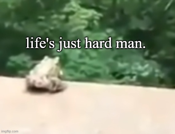 Frog wants to talk about his feelings. | life's just hard man. | image tagged in sad,frog | made w/ Imgflip meme maker
