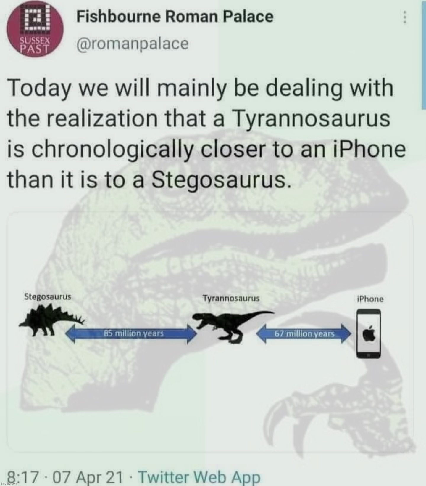 wot | image tagged in t rex,dinosaurs,iphone,wot,dinos,stegosaurus | made w/ Imgflip meme maker