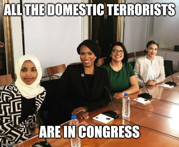 The Squad | ALL THE DOMESTIC TERRORISTS ARE IN CONGRESS | image tagged in the squad | made w/ Imgflip meme maker