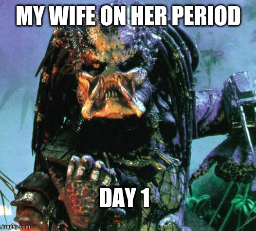 bloody times | MY WIFE ON HER PERIOD; DAY 1 | image tagged in predator | made w/ Imgflip meme maker