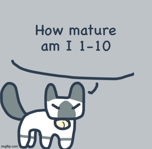 Bored. | How mature am I 1-10 | image tagged in cat | made w/ Imgflip meme maker