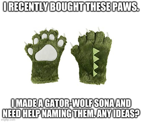 No specified gender for my new sona. Thanks FUR helping, guys! | I RECENTLY BOUGHT THESE PAWS. I MADE A GATOR-WOLF SONA AND NEED HELP NAMING THEM. ANY IDEAS? | made w/ Imgflip meme maker