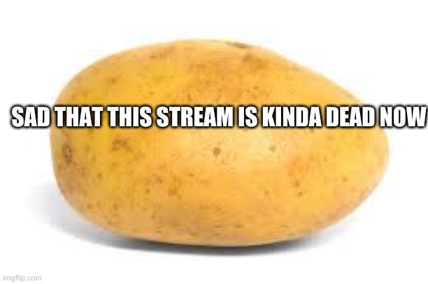 Potato | SAD THAT THIS STREAM IS KINDA DEAD NOW | image tagged in potato | made w/ Imgflip meme maker