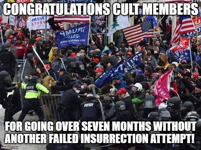Cop-killer MAGA right wing Capitol Riot January 6th | CONGRATULATIONS CULT MEMBERS; FOR GOING OVER SEVEN MONTHS WITHOUT ANOTHER FAILED INSURRECTION ATTEMPT! | image tagged in cop-killer maga right wing capitol riot january 6th | made w/ Imgflip meme maker