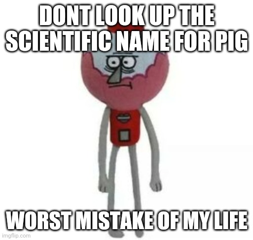 dont do it | DONT LOOK UP THE SCIENTIFIC NAME FOR PIG; WORST MISTAKE OF MY LIFE | image tagged in benson marketable plushie | made w/ Imgflip meme maker