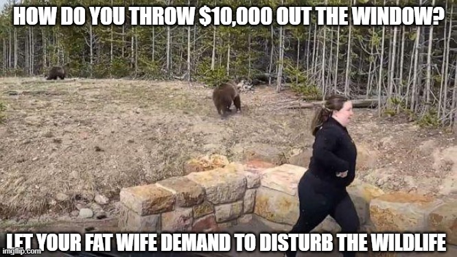 Samantha R. Dehring | HOW DO YOU THROW $10,000 OUT THE WINDOW? LET YOUR FAT WIFE DEMAND TO DISTURB THE WILDLIFE | image tagged in bears,yogi bear | made w/ Imgflip meme maker