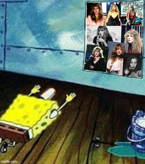 Stevie Nicks: The WLW Agenda | image tagged in spongebob worship | made w/ Imgflip meme maker