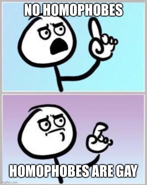 Wait what? | NO HOMOPHOBES HOMOPHOBES ARE GAY | image tagged in wait what | made w/ Imgflip meme maker