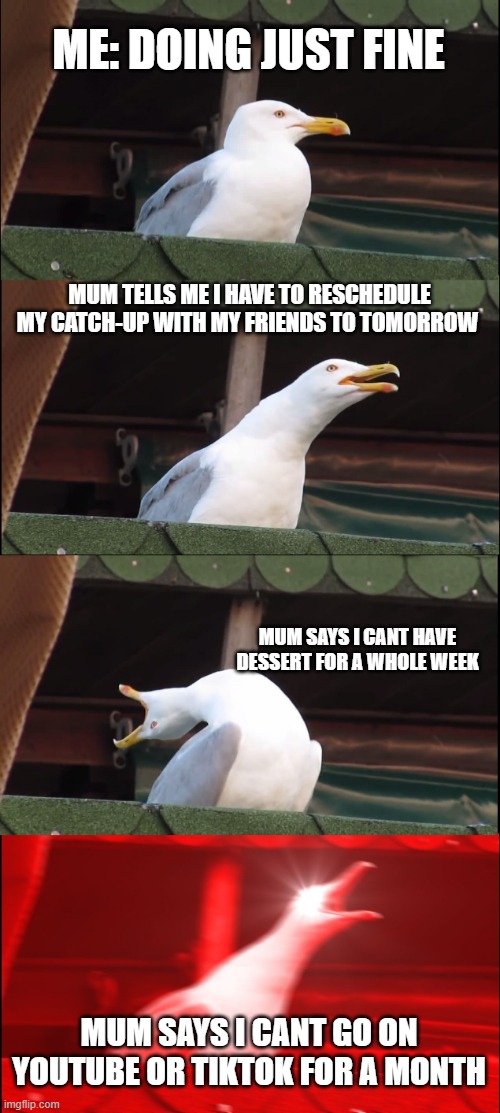 Slowly Mum takes my life away | ME: DOING JUST FINE; MUM TELLS ME I HAVE TO RESCHEDULE MY CATCH-UP WITH MY FRIENDS TO TOMORROW; MUM SAYS I CANT HAVE DESSERT FOR A WHOLE WEEK; MUM SAYS I CANT GO ON YOUTUBE OR TIKTOK FOR A MONTH | image tagged in memes,inhaling seagull | made w/ Imgflip meme maker