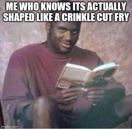 Shaq reading meme | ME WHO KNOWS ITS ACTUALLY SHAPED LIKE A CRINKLE CUT FRY | image tagged in shaq reading meme | made w/ Imgflip meme maker