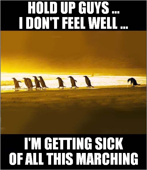 The March Of The Penguins ! | HOLD UP GUYS ...
I DON'T FEEL WELL ... I'M GETTING SICK OF ALL THIS MARCHING | image tagged in penguins,marching,sickness | made w/ Imgflip meme maker