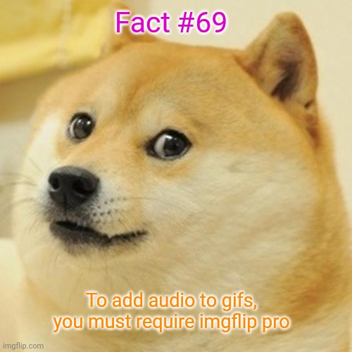 Fact #69 | Fact #69; To add audio to gifs, you must require imgflip pro | image tagged in memes,doge,the more you know | made w/ Imgflip meme maker