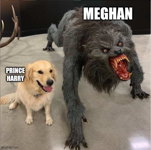 Harry&meghan | MEGHAN; PRINCE HARRY | image tagged in dog vs werewolf | made w/ Imgflip meme maker